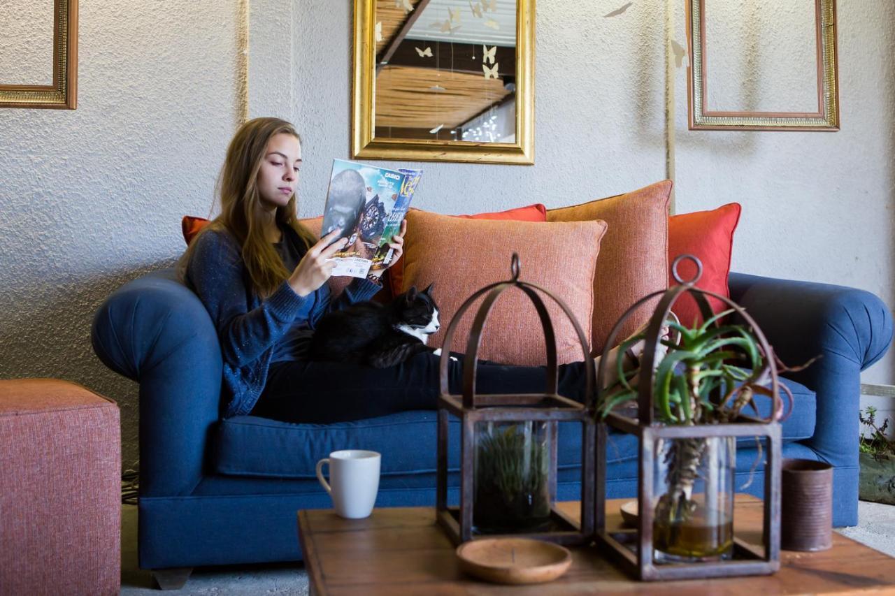B&B Vinboho Kapstaden Eksteriør billede
